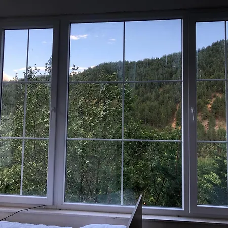 Hotel Bujtina Gjin Lleshi *